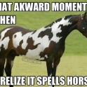 It spells horse