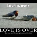 Love is over2