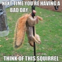 Next time youre having a bad day...