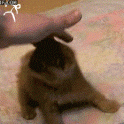 Ninja cat fights off stick people