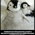 Penguin problems