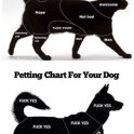 Petting chart for your cat and dog