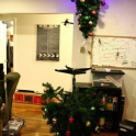 Portal Christmas Tree