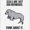 Seals are just Dog Mermaids