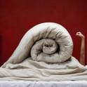 Snail Bed