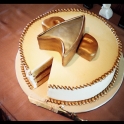 Star Trek Cake2