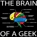 The Brain of a Geek