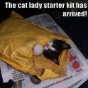 The cat lady starter kit