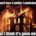 There was a Spider.. I Panicked