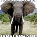 This Picture is Irrelephant