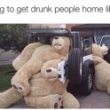 Trying to get drunk people home is like....