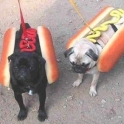 Two Hot Dogs