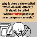 Why is there a show called When Animals Attack