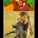 Your Childhood just got ruined forever