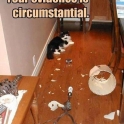 Your evidence is circumstantial