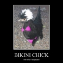 bikini chick2