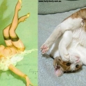 cats that look like pin up girls 19
