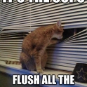 flush the catnip