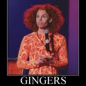 gingers2