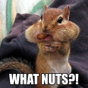 got nuts what nuts