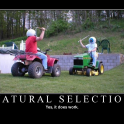 natural selection2