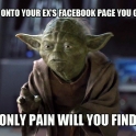 only pain you will find