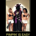 pimpin is easy2