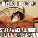 stay awake and plot revenge