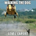 walking the dog level expert