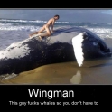 wingman2