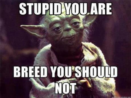 breed you should not