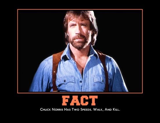 Fact Chuck
