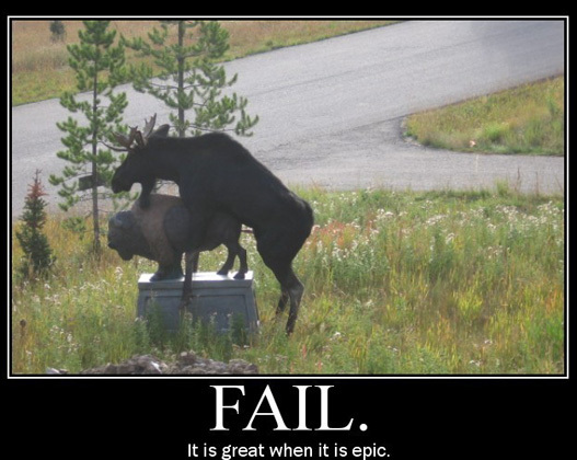 Moose Epic Fail