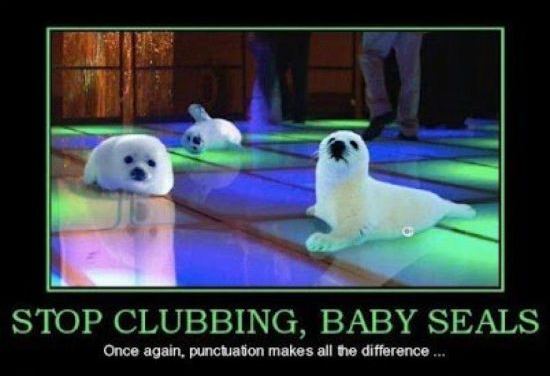 Stop clubbing, baby seals