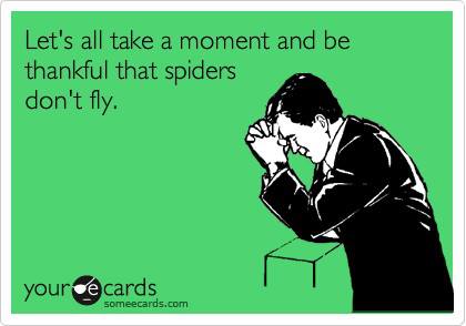 thankful that spiders do not fly