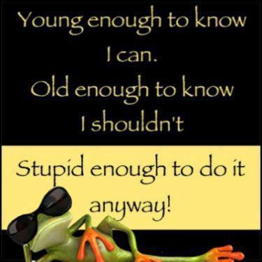young old stupid