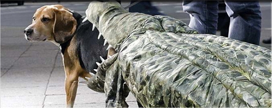 Alligator Costum For A Dog