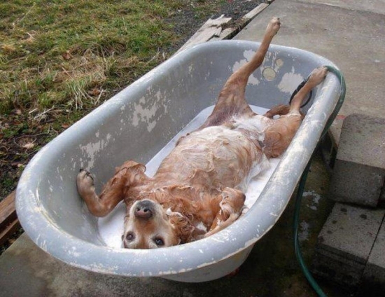 Bath Time