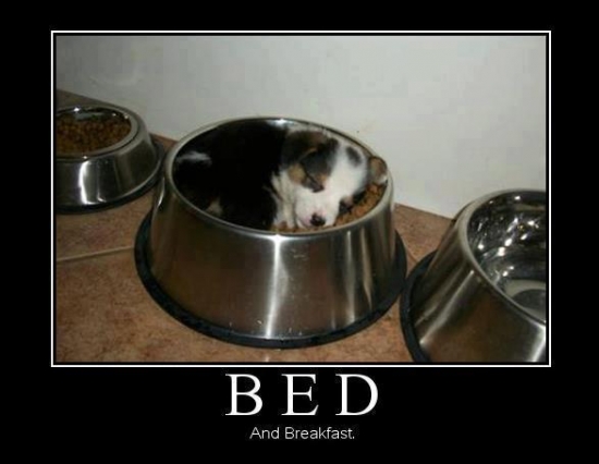 Bed and Breakfast