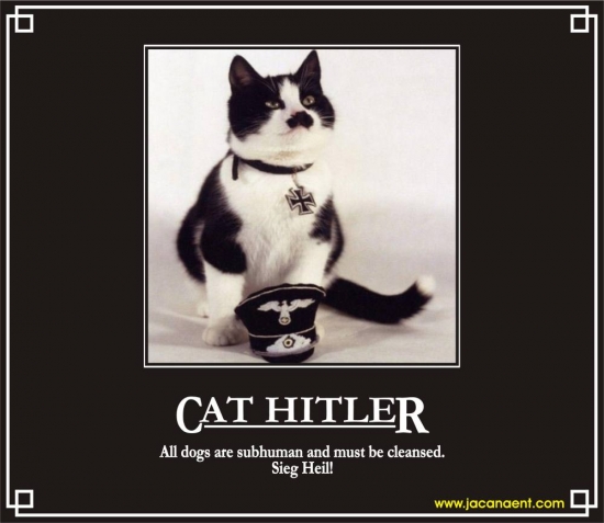 Cat Hitler