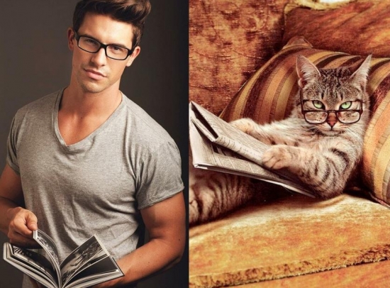 Cats That Look Like Male Models 12