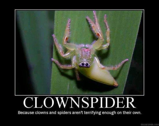 Clownspider