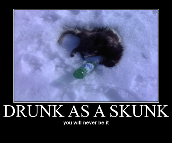 Drunk as a skunk2