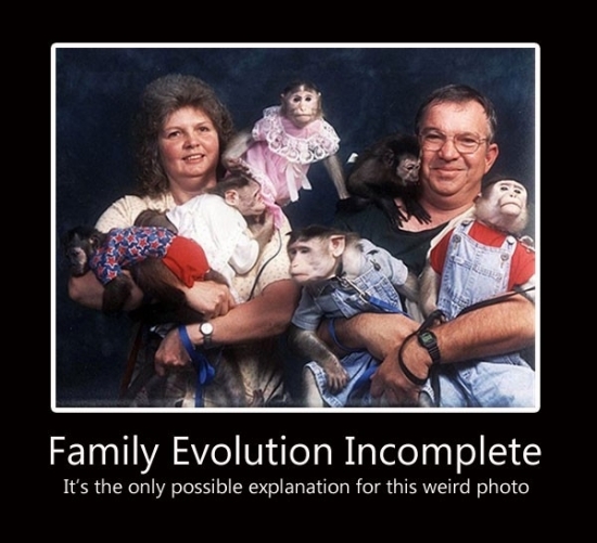 Family Evolution Incomplete2