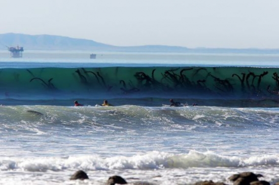 Freaky view under the sea