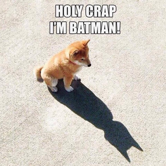 Holy Crap Im Batman