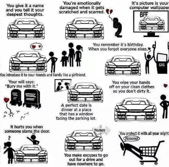 How much do you love your car2