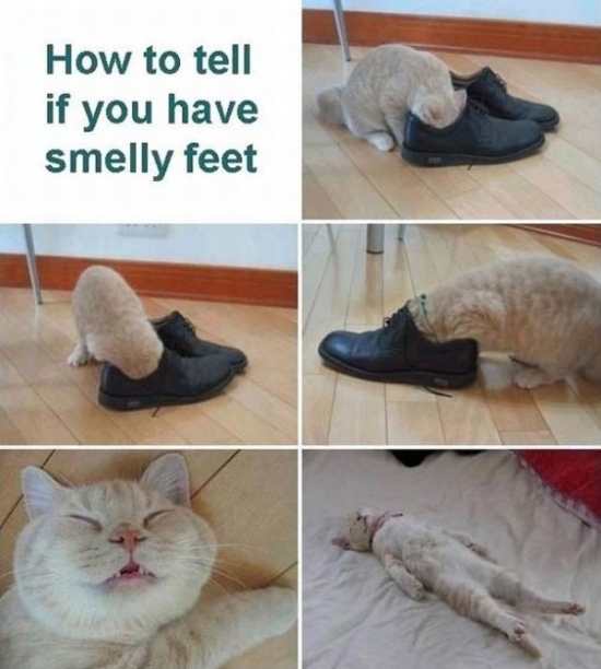 How to tell if you have smelly feet