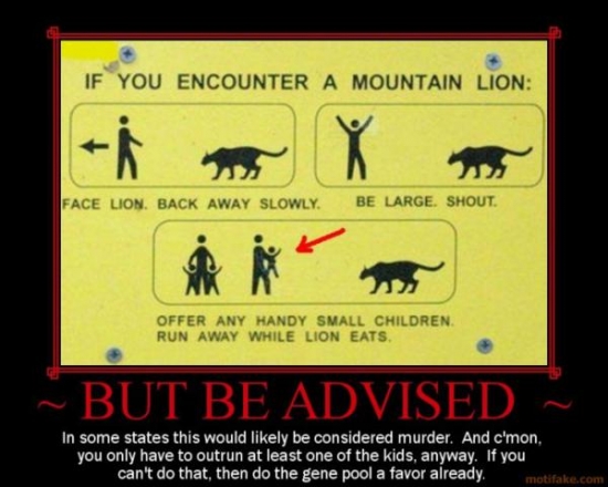 If You Encouter A Mountain Lion