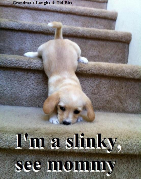 Im a slinky